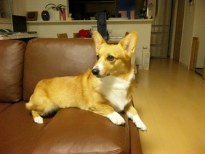 20121023-00.jpg