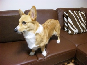 20121023-01.jpg