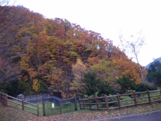 DVC00132.jpg