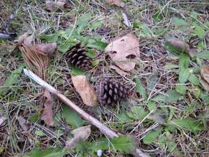 20121028-03.jpg