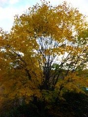 20121028-08.jpg