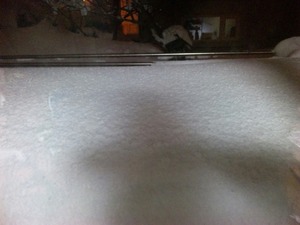 1361716591-DVC00509.jpg