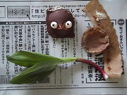 20080511-05.JPG