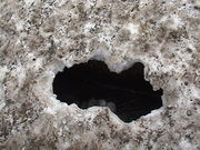 20090509-00.JPG