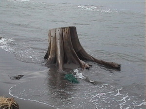 20090712-03.JPG