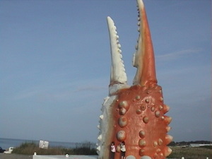 20090820-04.JPG