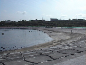 20090826-01.JPG