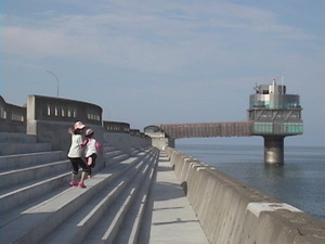 20090826-02.JPG