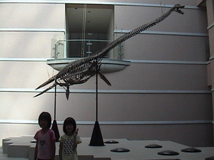 20090904-01.JPG