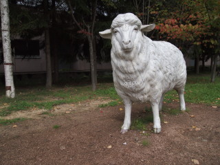 20091001-01.jpg