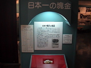 20091005-02.JPG