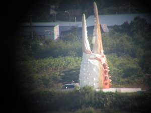 20091012-05.JPG