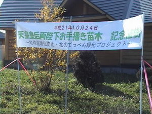 20091025-02.JPG