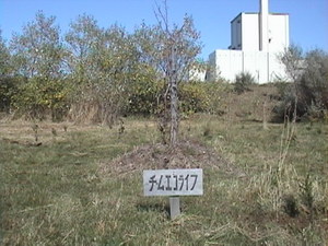 20091025-03.JPG