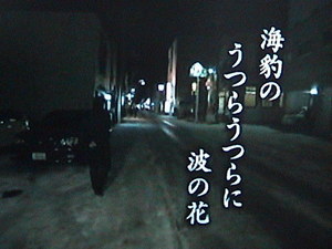 20100101-02.JPG