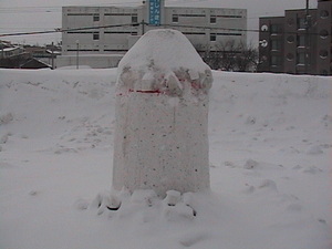 20100206-00.JPG