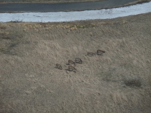 20100503-02.jpg