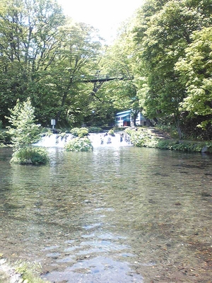 20100608-01.jpg