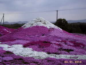 20100609-00.JPG