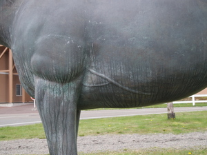 20100808-01.jpg