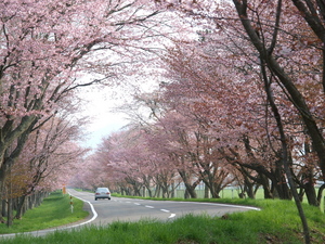 20100808-04.jpg