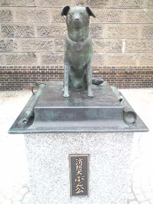 20101120-00.jpg